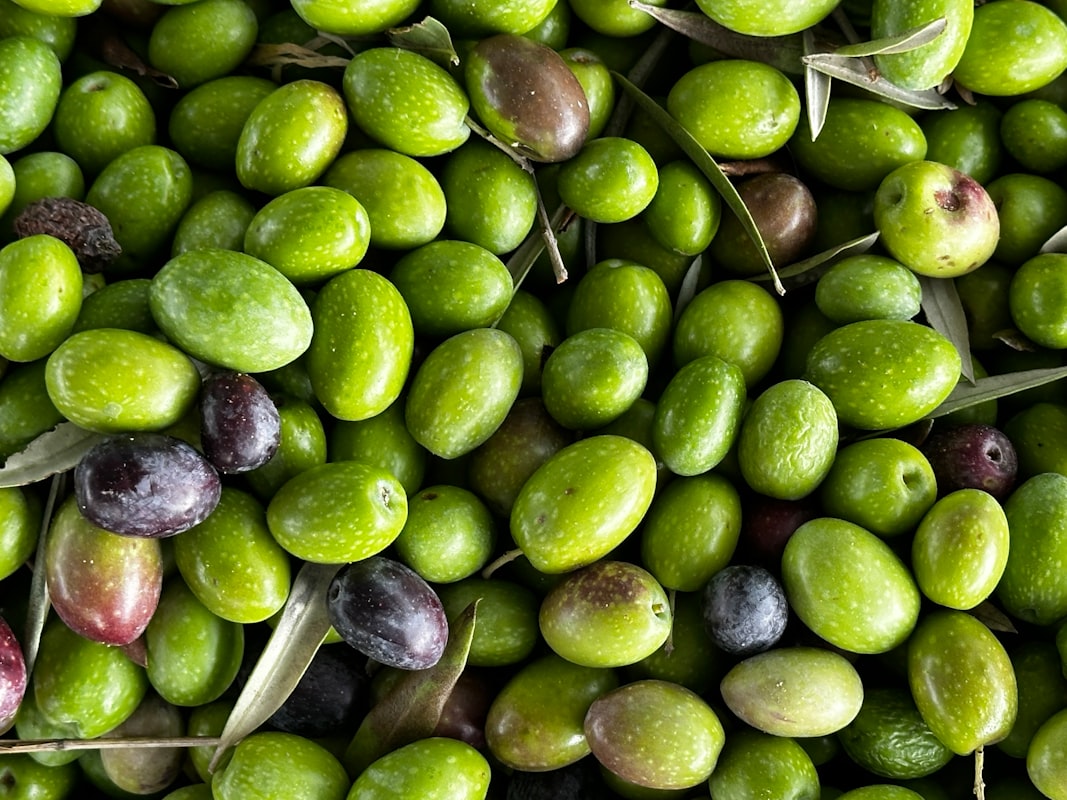 Gesunde Ernährung für Cholesterin-Management