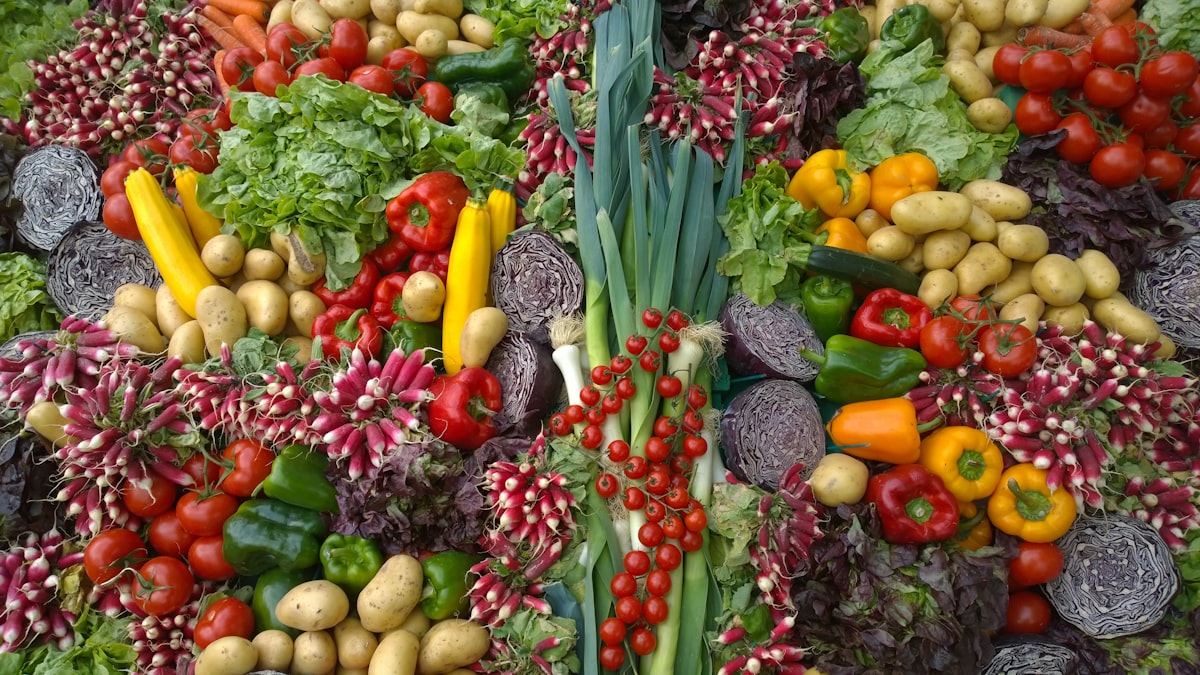 E-Book Vorschau: Ernährungsratgeber